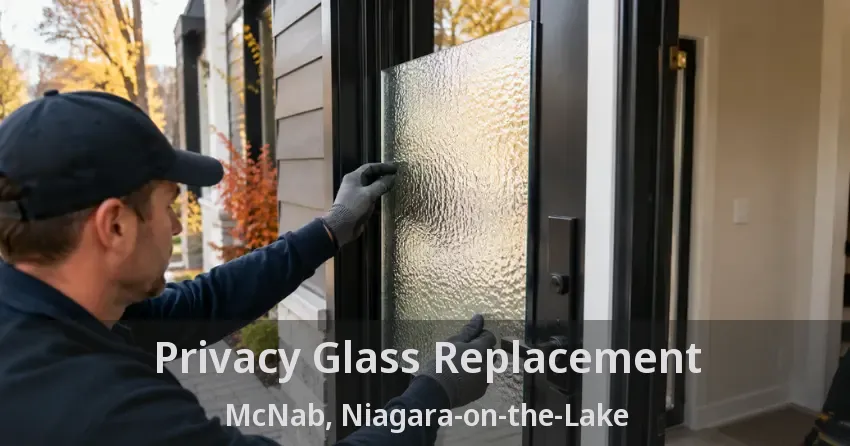 Privacy Glass Replacement McNab, Niagara-on-the-Lake - ON